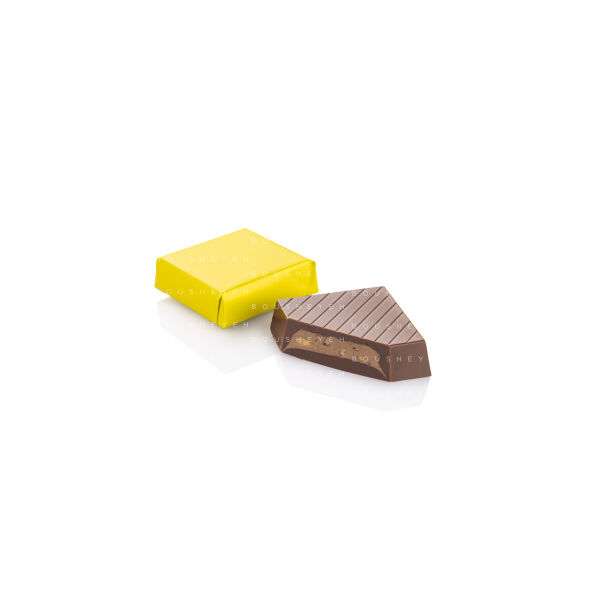 Dark chocolate filled gianduja cream 200g
