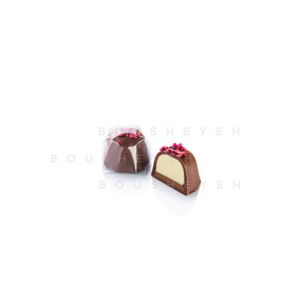 Milk chocolate covered white praline & layer of hazelnut praline 200g